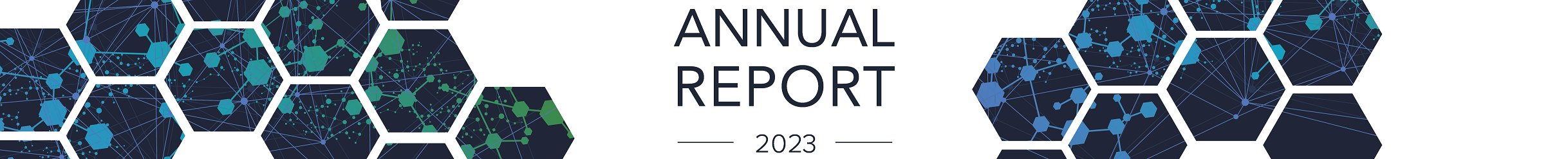 annual report hero image