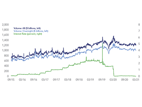 The Dynamics of the U.S. Overnight Triparty Repo Market