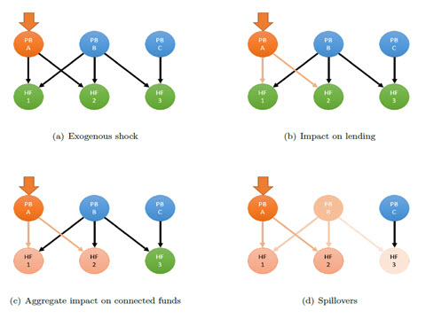 The Life of the Counterparty: Shock Propagation in Hedge Fund-Prime Broker Credit Networks